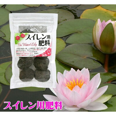 楽天市場 赤塚植物園 スイレン用 肥料 価格比較 商品価格ナビ 楽天市場 赤塚植物園 スイレン用 肥料 価格比較 商品価格ナビ